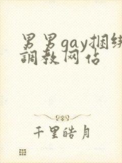 男男gay捆绑调教网站