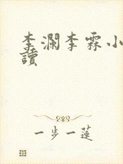 李澜李霖小说阅读