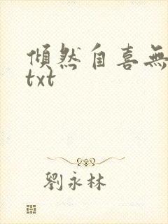 倾然自喜无删减txt