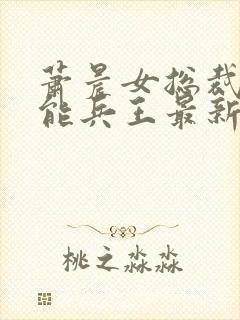 萧晨女总裁的全能兵王最新更新txt