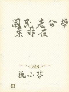 国民老公带回家 叶非夜封面