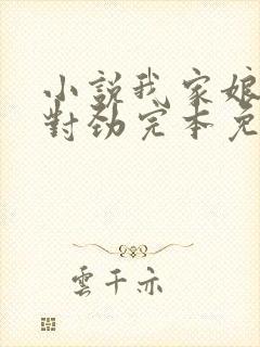 小说我家娘子不对劲完本免费阅读