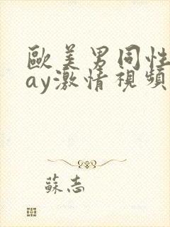 欧美男同性恋gay激情视频