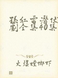 孙红雷潜伏电视剧全集40集免费