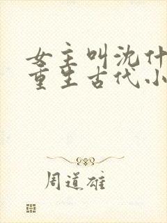 女主叫沈什么的重生古代小说