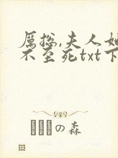 厉总,夫人她罪不至死txt下载