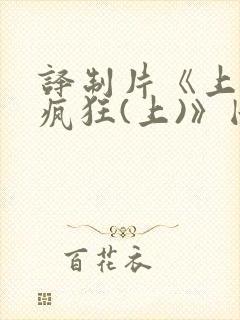 译制片《上帝也疯狂(上)》国语版