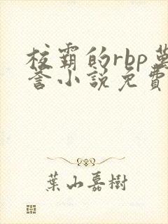 校霸的rbp万誉小说免费阅读封面