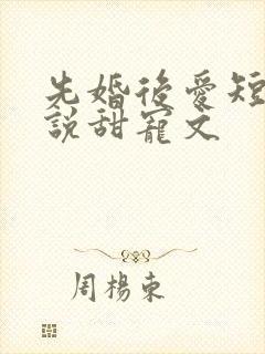 先婚后爱短篇小说甜宠文