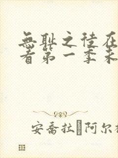 无耻之徒在线观看第一季未删减版