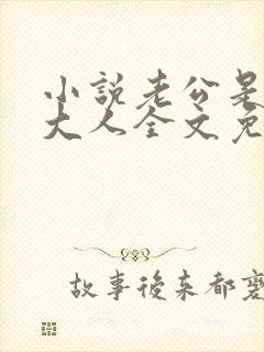 小说老公是腹黑大人全文免费阅读