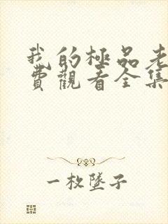 我的极品老婆免费观看全集电视剧