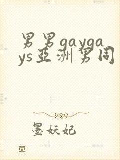 男男gaygays亚洲男同封面