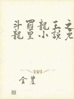 斗罗龙王之光暗龙皇小说免费阅读