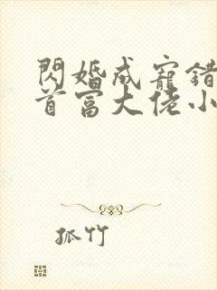 闪婚成宠错嫁了首富大佬小说封面