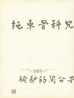 纯车骨科兄妹封面