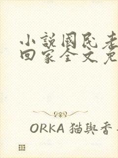 小说国民老公带回家全文免费阅读