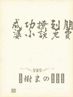 成功撩到朋友老婆小说免费阅读