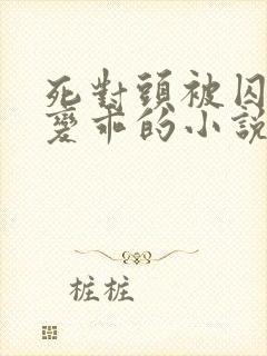 死对头被囚禁后变乖的小说双男