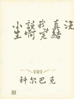 小说我真没想重生啊完结