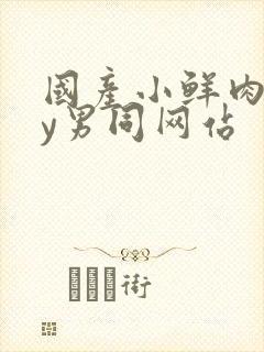 国产小鲜肉gay男同网站