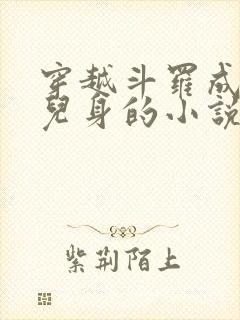 穿越斗罗成了女儿身的小说
