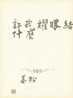 许我耀眼结局是什么