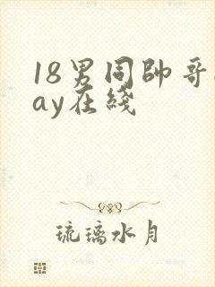 18男同帅哥gay在线封面