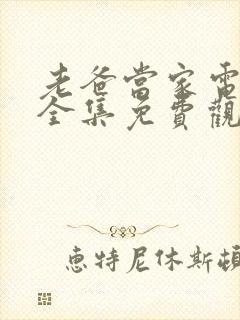 老爸当家电视剧全集免费观看高清