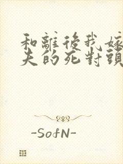 和离后我嫁给前夫的死对头小说