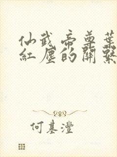 仙武帝尊叶辰和红尘的关系