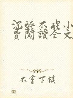 沉醉不醒小说免费阅读全文无弹窗