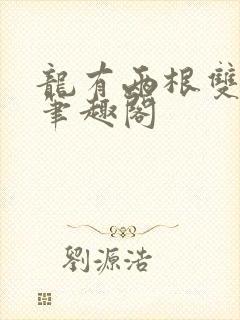 龙有两根双男主笔趣阁