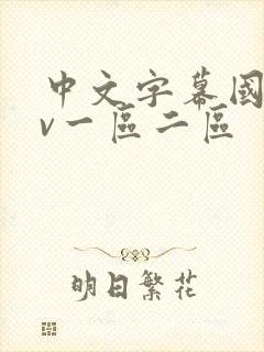 中文字幕国产av一区二区