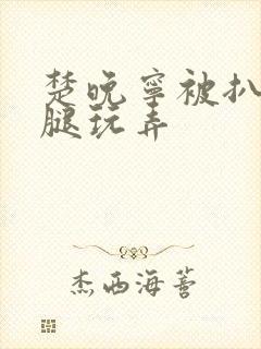 楚晚宁被扒开双腿玩弄