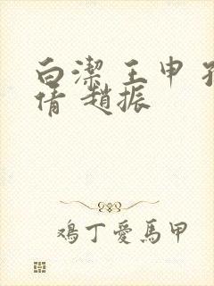 白洁 王申 孙倩 赵振封面