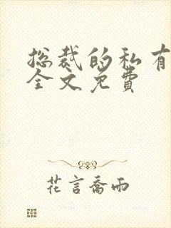 总裁的私有宝贝全文免费