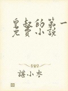 皇叔的第一宠妃免费小说封面