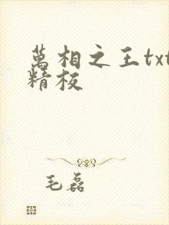 万相之王txt精校