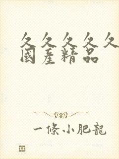 久久久久久综合国产精品