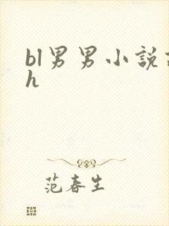 bl男男小说高h