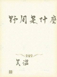 野周是什么意思