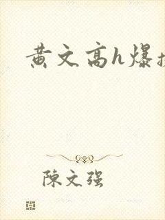 黄文高h爆操h