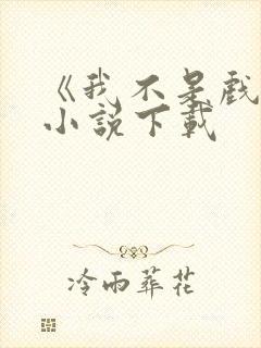 《我不是戏神》小说下载