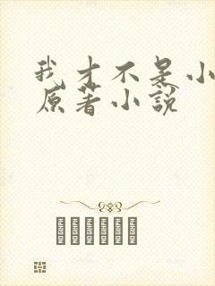 我才不是小可怜原著小说封面