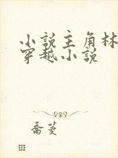 小说主角林峰的穿越小说