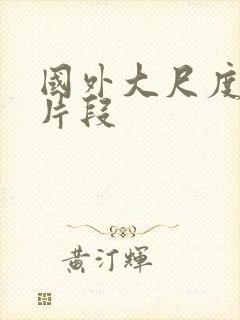 国外大尺度床戏片段