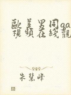 欧美男同gay视频在线观看