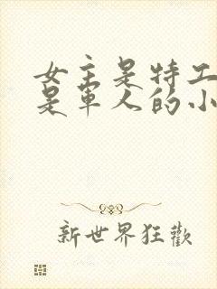 女主是特工男主是军人的小说