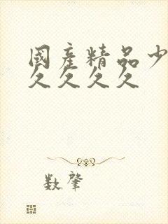 国产精品少妇久久久久久